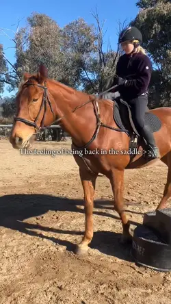 Back in the saddle x