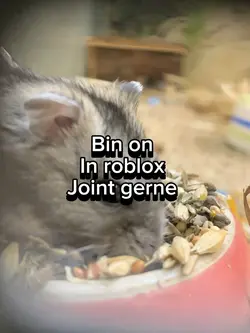 Kommt gerne 
