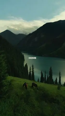 Home