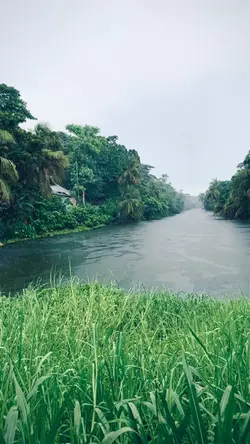 যখন দেখবেন বৃষ্টি হচ্ছে। 