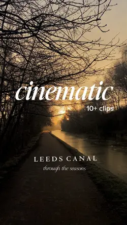 Cinematic daily life