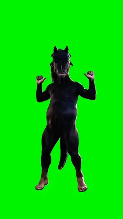 horse dance