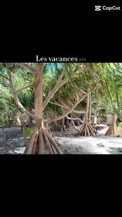 c'est sa les vacance