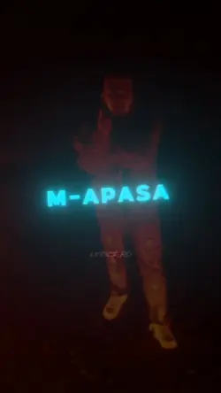 PETRE STEFAN SNIPPET
