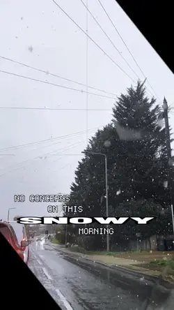 Snowy morning