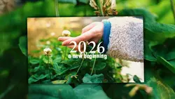 2026 new begining