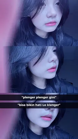 plenger" gini