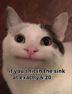 facts