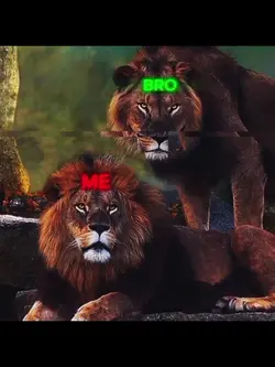 hgh jhvh 