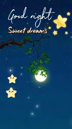 good night 