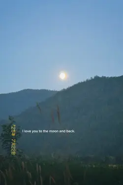 to the moon and bac