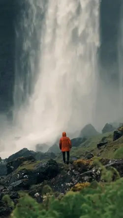 nature vibes