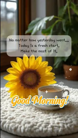 Morning Motivation 