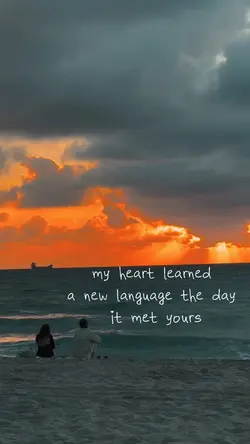 my heart |