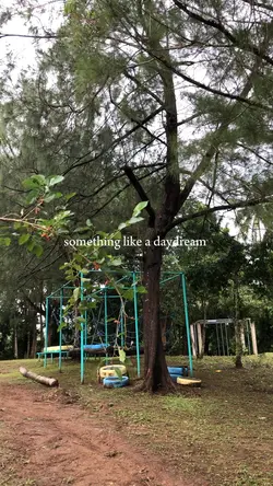 daydream