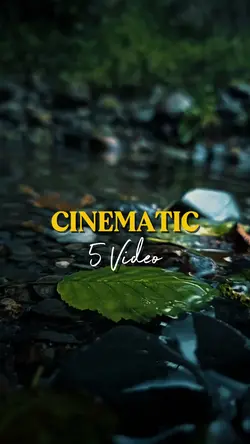5 video