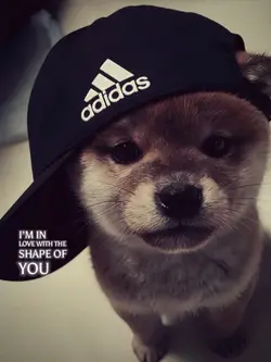 MẪU LYRICS STORY MÀU