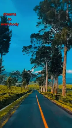 Aesthetic 