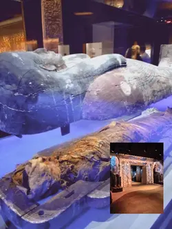 Museum 