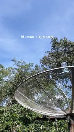 Terpanda panda