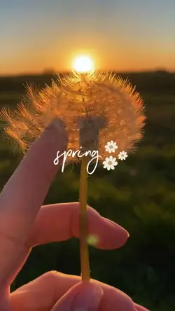 Spring