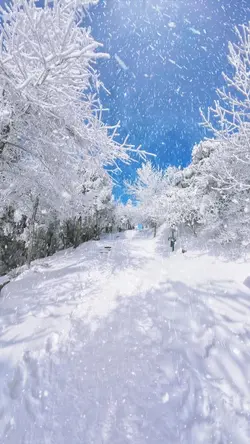 Snow Trend