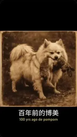Pom 100yrs ago
