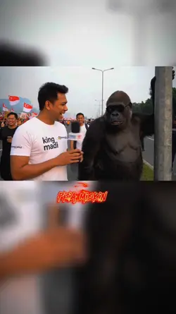 kata kata hari ini