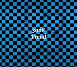 3008 >:3