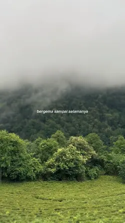 Bergema sampai selam