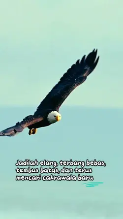 Elang Bebas