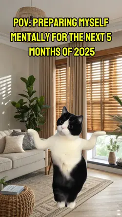 meme dance cat 
