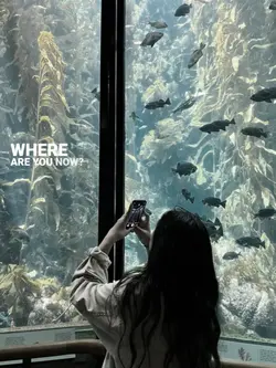 where are you now?
