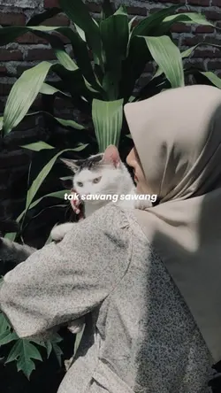 Tak sawang sawang 