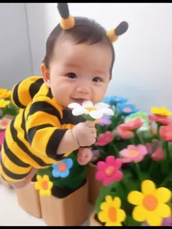 Ai Baby Bee