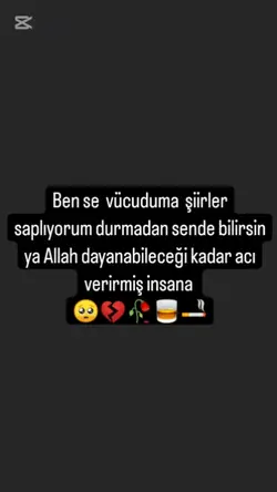 şablon çok güzel 