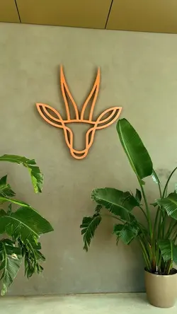 كوفي ١٥