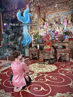 8/8 1 Ảnh