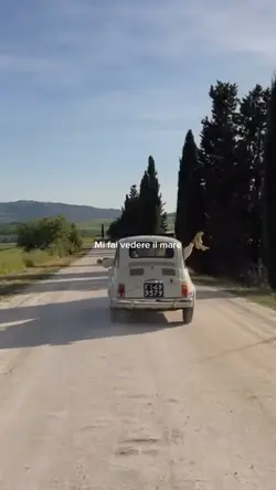Dentro ad un film 