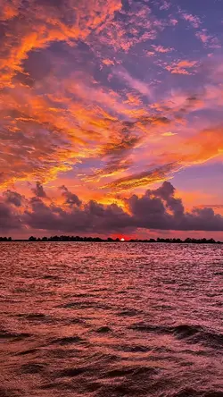 SUNSET VIBESS