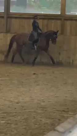 Training