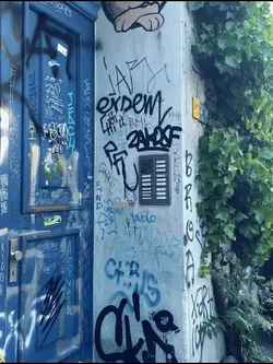 aesthetic
