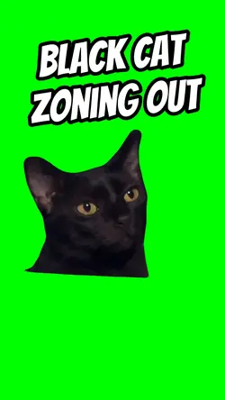 Cat zoning out