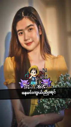 အချစ်ညရင်ခုန်သံ