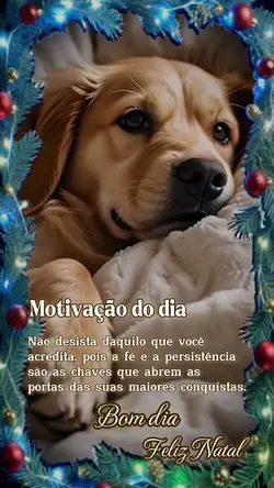 Feliz natal 