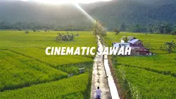 cinematic sawah
