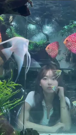 릴스 분위기 낭낭~