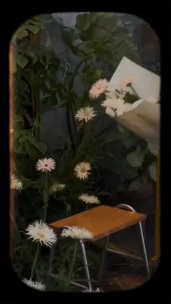 Mẫu HQ