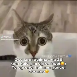 Nasıl daha dün 