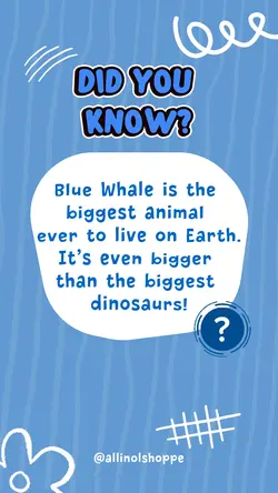 DID YOU KNOW